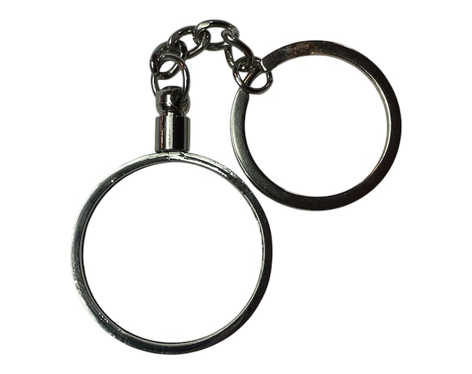 NA/AA Medallion Holder Keychain: Recovery Gift, Silver-Tone Finish