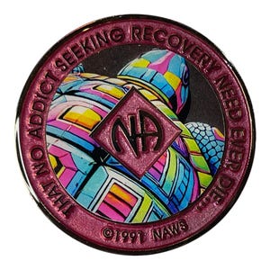 Colorful NA Medallion | Custom Narcotics Anonymous Recovery Coin | Unique Sobriety Gifts | Turtle Recovery Medallion