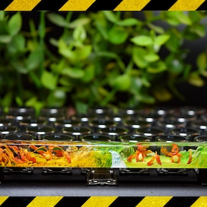 May include: A custom keyboard keycap with a green, white, and orange resin design. The keycap features a small, orange, cartoon character with a green tail. The keycap is on a black keyboard.