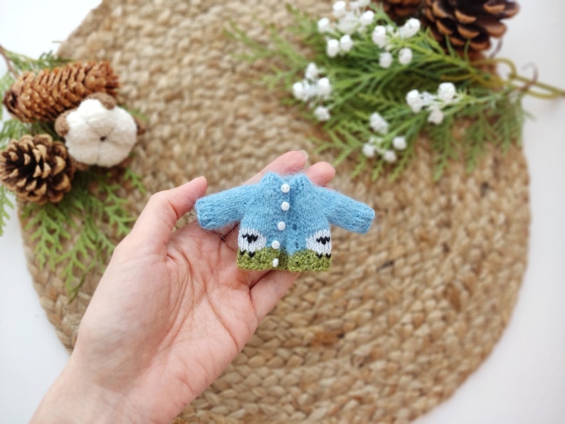 May include: A tiny blue knitted cardigan with white buttons and green trim. The cardigan has a sheep design on the front.
