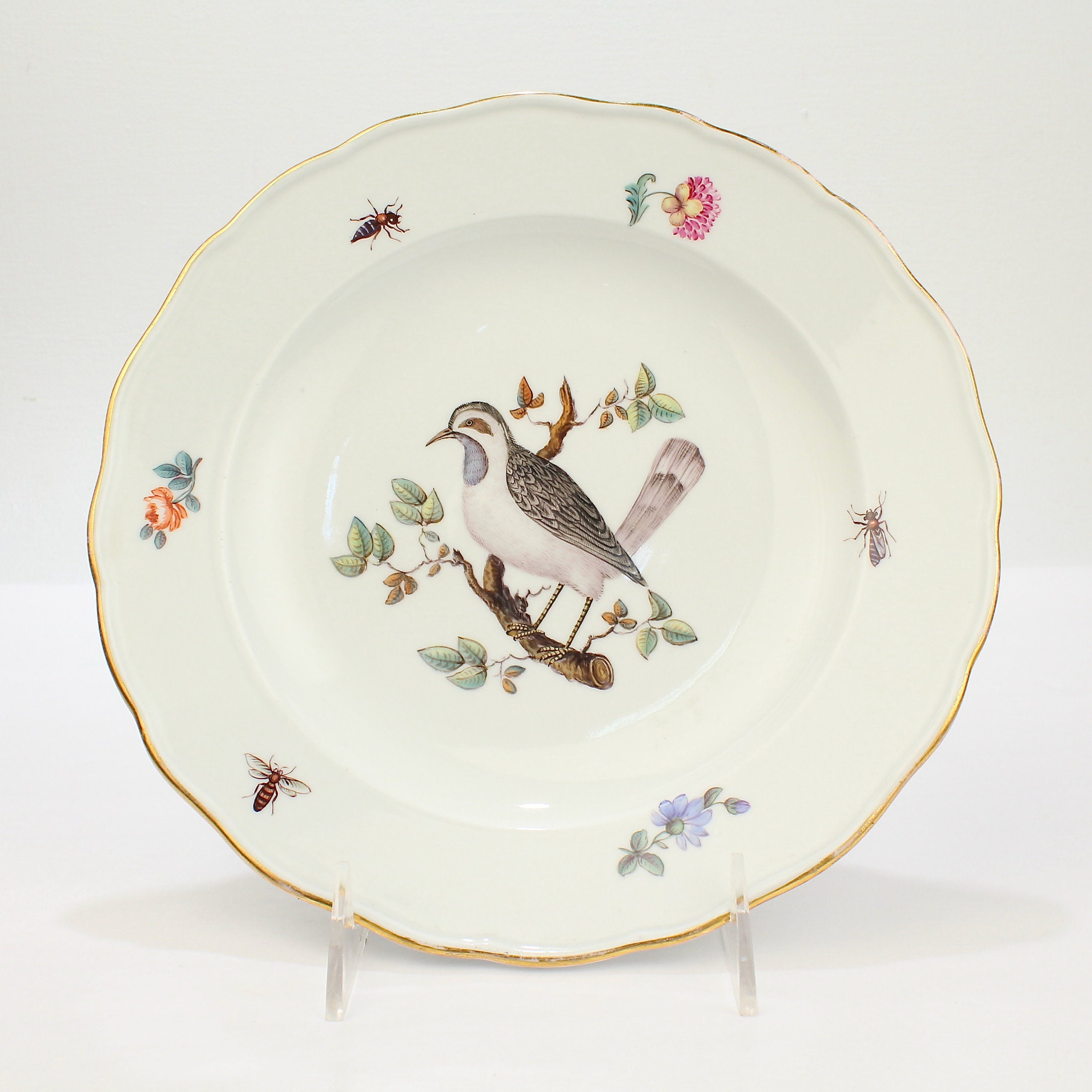 Antique 18th C. Ornithological Meissen Porcelain Plate - Bird