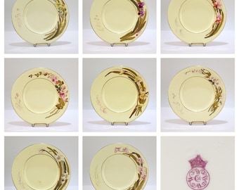 Set of 8 Antique Worcester Porcelain Cabinet Plates with Enamel Flowers