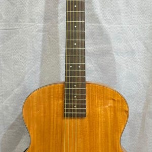 Blueberry Handmade Nine String Archtop Acoustic Guitar