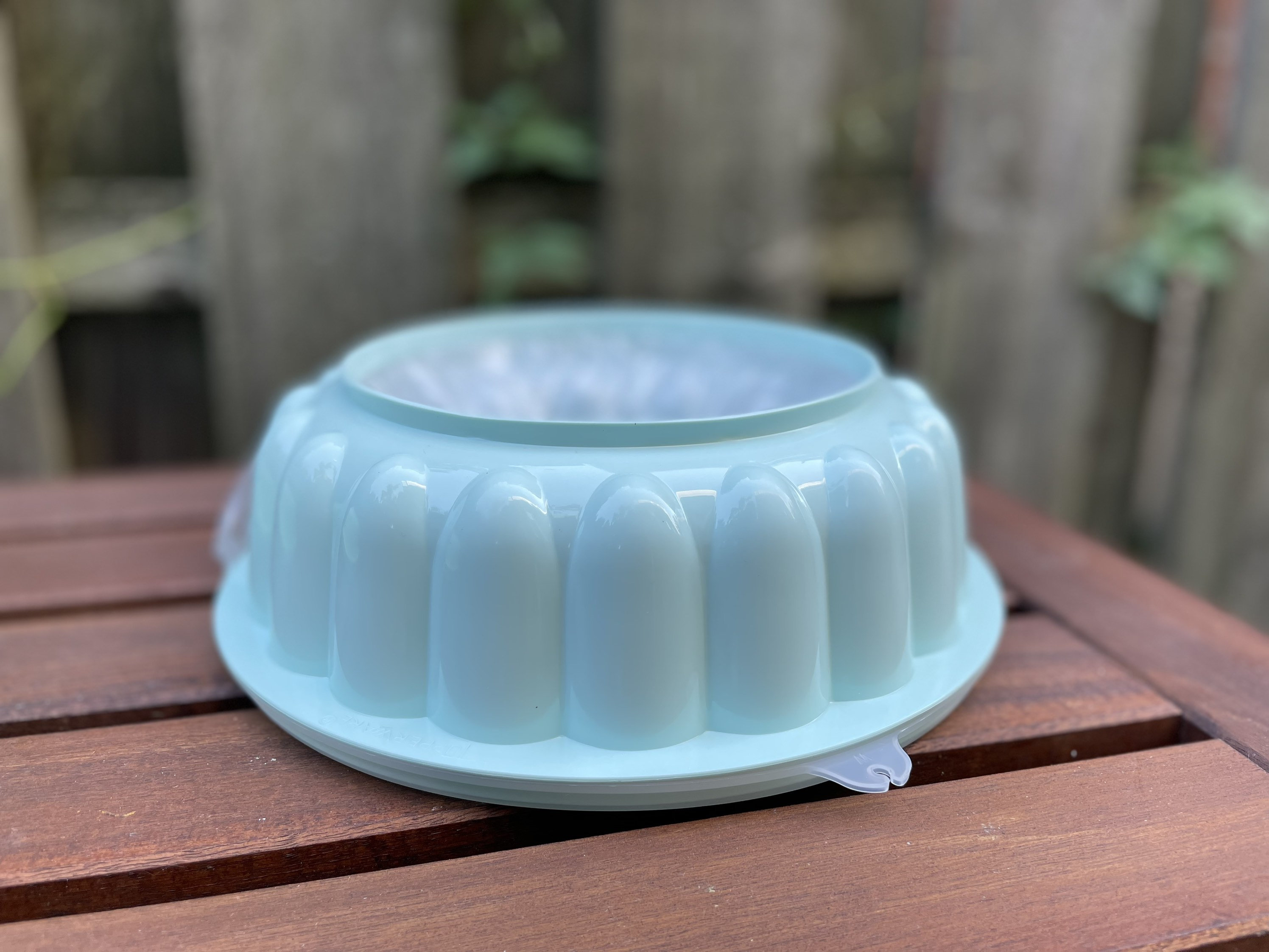 Vintage Tupperware Jello Mold Jelring Retro 1970s Mint Green and Ice