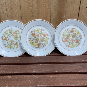 Puede incluir: Tres platos de cerámica blanca con un diseño floral. Los platos tienen un borde marrón y un patrón central de flores naranjas, amarillas y verdes. Los platos están colocados sobre una superficie de madera.