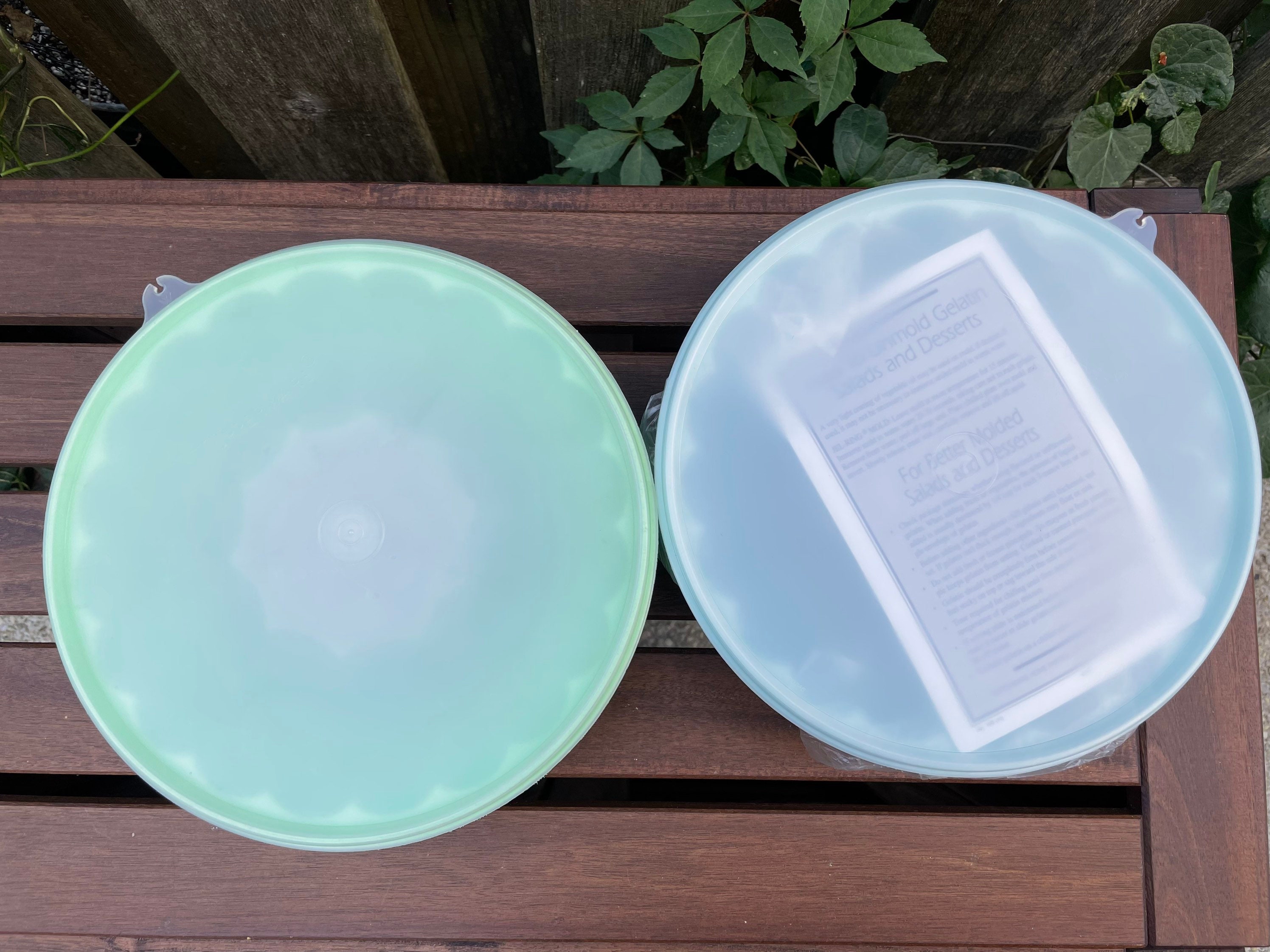 Vintage Tupperware Jello Mold Jelring Retro 1970s Mint Green and Ice