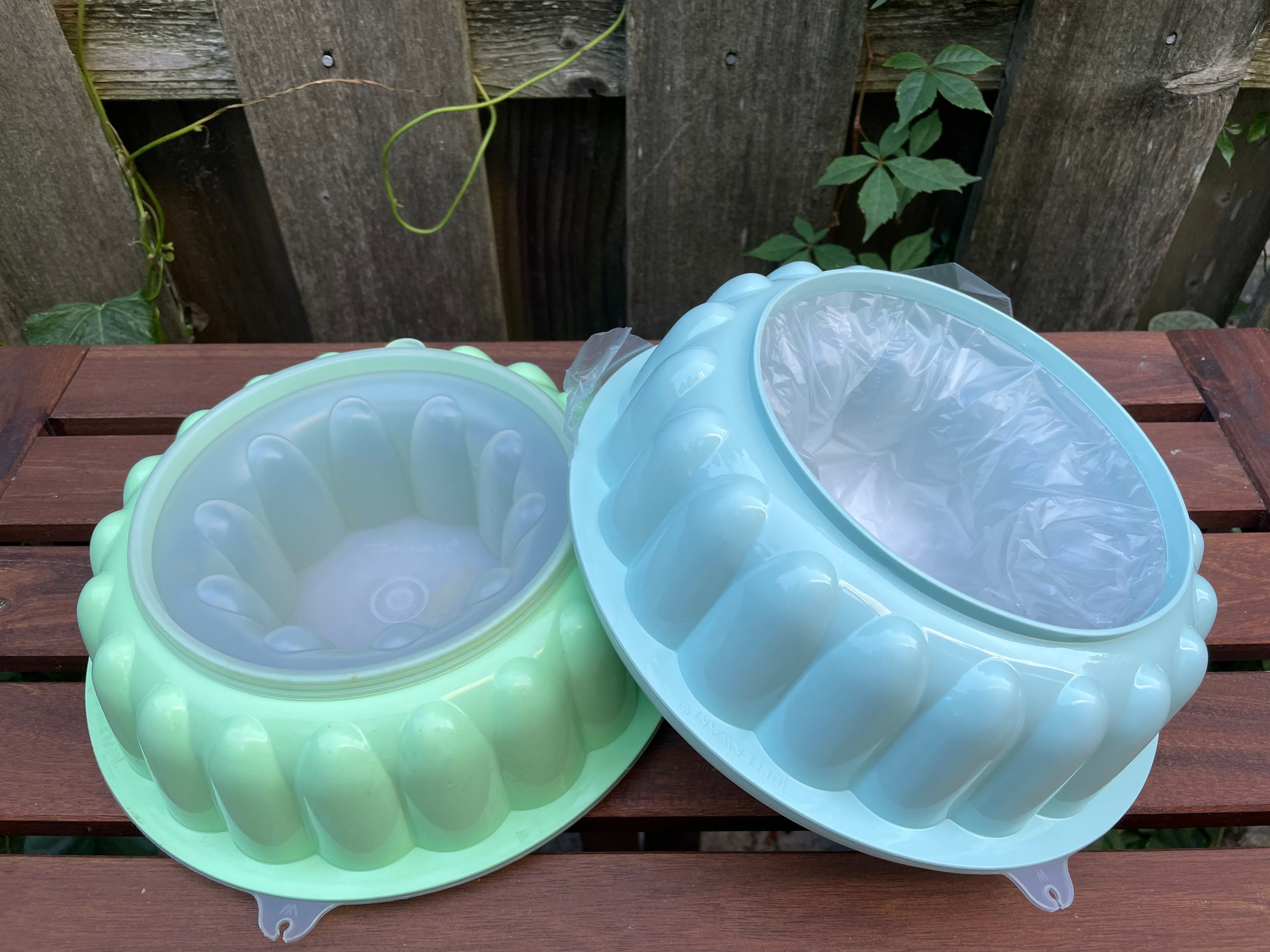 Vintage Tupperware Jello Mold Jelring Retro 1970s Mint Green and Ice