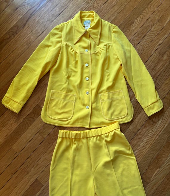 Fabulous Vintage 1970s Alex Coleman Polyester Two Piece Set