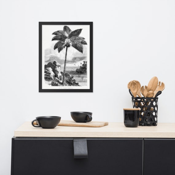 Illustrated Vintage Palm Tree Wall Art Les Palmiers Histoire Etsy