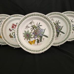 Botanic Garden by Portmeirion - Sechs Vintage Speiseteller