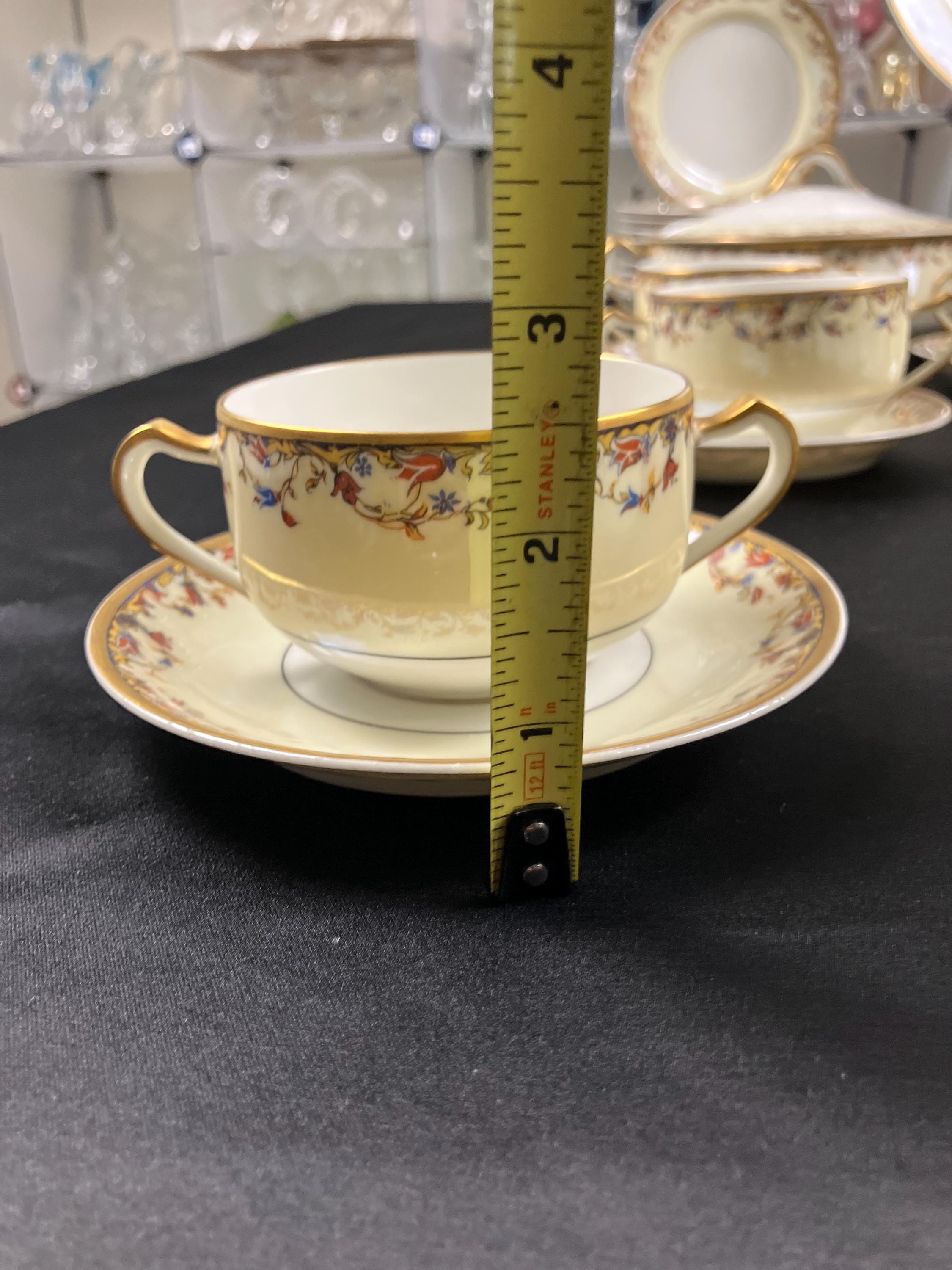 Louvain by Haviland & Co. Limoges France - RARE ESTATE SET - 68