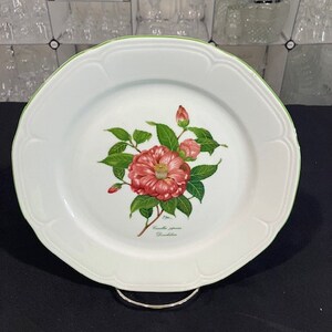 Camellia Japonica by Bareuther & Co - Vintage Floral Motif Dinner Plate