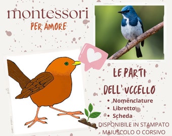 Nomenclatura Montessori, libretto e scheda delle parti dell'UCCELLO