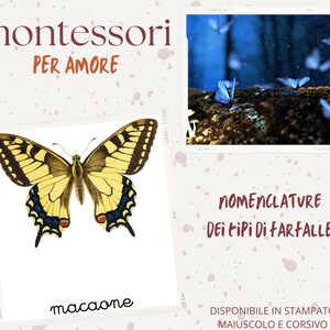 Può includere: Una carta educativa Montessori con una farfalla macaone gialla e nera con la parola italiana "macaone" stampata sotto. La carta ha uno sfondo bianco e il testo "montessori per amore" in alto.