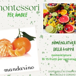 Nomenclature des fruits