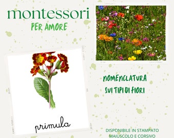 Nomenclature sui tipi di fiori