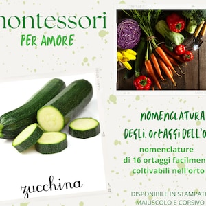 Nomenclatura degli ortaggi dell'orto