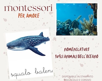 Nomenclature degli animali dell'oceano