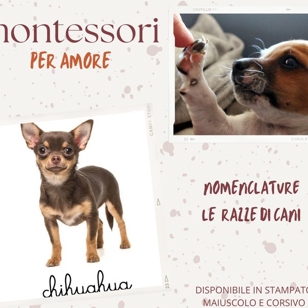 Nomenclatura sulle razze dei cani