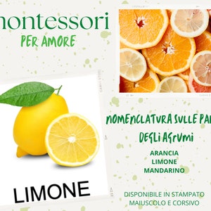 Nomenclatures of the parts of citrus fruits