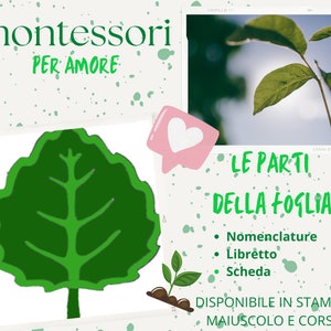Nomenclatura Montessori, libretto e scheda delle parti della FOGLIA