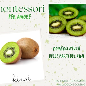 Può includere: Un poster educativo Montessori con il testo "montessori per amore" e "kiwi" in lettere verdi. Il poster presenta un'immagine ravvicinata di un kiwi tagliato a metà e un kiwi intero. Il poster include anche il testo "nomenclatura delle parti del kiwi" e "disponibile in stampato maiuscolo e corsivo".