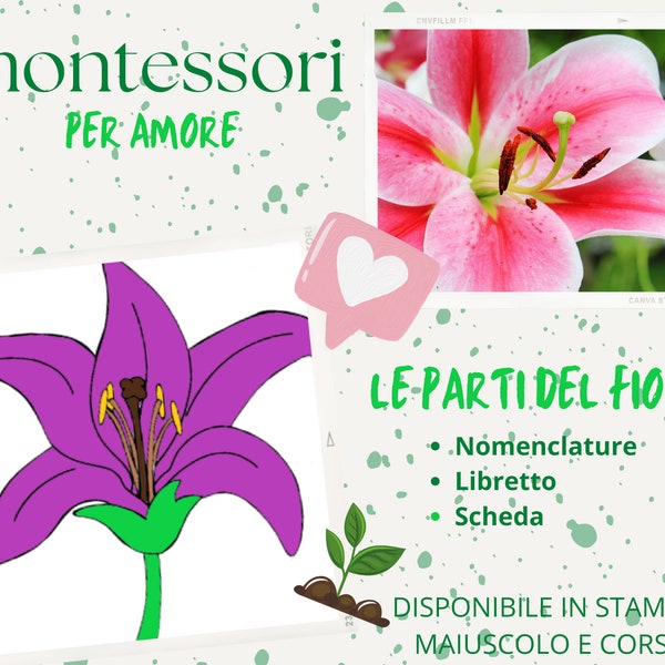 Nomenclatura Montessori, libretto e scheda delle parti del FIORE