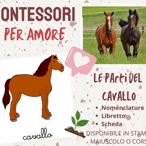 Montessori nomenclature, booklet and sheet of the parts of the Horse