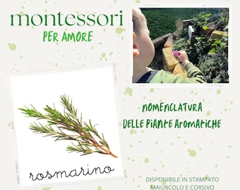 Nomenclature delle Erbe Aromatiche