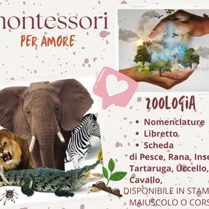Montessori nomenclature, ANIMALS booklet and parts sheet