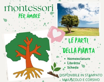 Nomenclatura Montessori, libretto e scheda delle parti della PIANTA