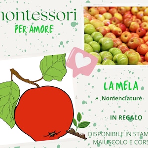 May include: A red apple with green leaves on a branch. The text "montessori PER AMORE" is in the top left corner of the image. The text "LAMELA. Nomenclaturė. IN REGALO DISPONIBILE IN STAMPATO MAIUSCOLO E CORSIVO" is in the bottom right corner of the image.