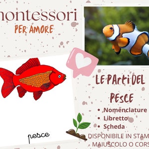 Nomenclature Montessori, livret et fiche de pièces FISH
