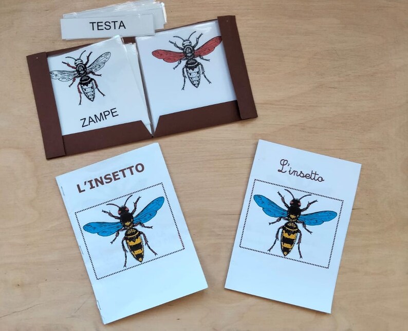 Nomenclature Montessori, livret et fiche de pièces INSECT image 2