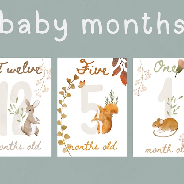Printable Baby Month - Etsy