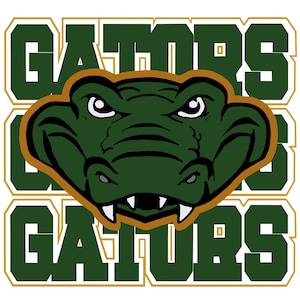 Gator head, sublimation, PNG digital download, tshirt sublimation design, trendy