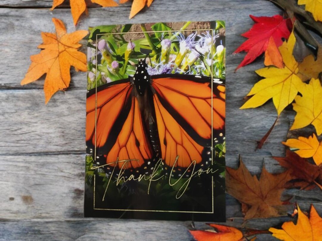 Monarch Butterfly Thank You Card - Etsy