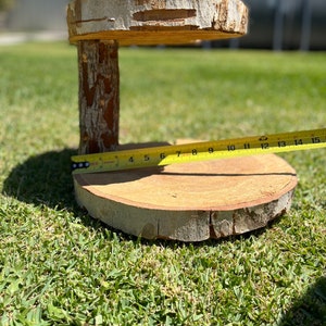 May include: A two-tiered wooden stand made from tree slices. The top tier is 15 inches in diameter and the bottom tier is 12 inches in diameter. The stand is made from natural wood and has a rustic look.