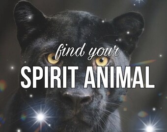find your SPIRIT ANIMAL - reading
