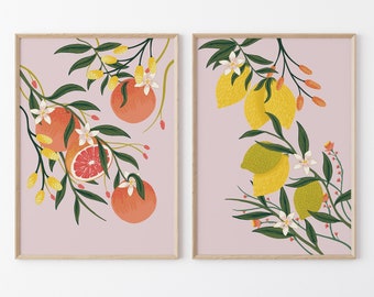 Citrus Art Prints | Set of 2 | Vintage Fruit Prints | Gallery Wall Art | Farmhouse Kitchen Decor | Aesthetic Artwork | Botanical Art