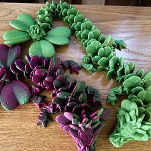 Clover Dragon - Cinderwing3D