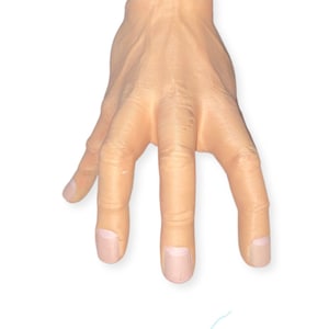 May include: A hand-shaped planter made of beige ceramic with a small green plant growing out of the top.