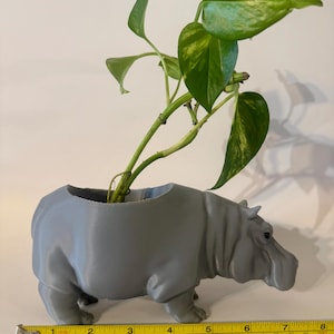 hippo planter gift decoration