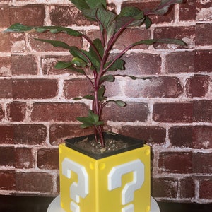 May include: A yellow question mark block planter with a green plant growing inside. The block is made of plastic and has a white question mark on each side.