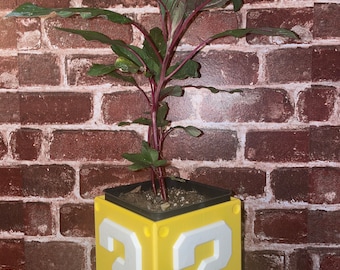 Znak zapytania Mario Planter prezent