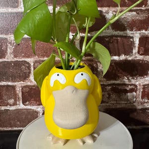 Psycduck Pot | Home Decor Gift