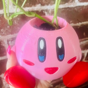 Kirby Planter Gift