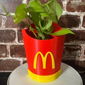 Mc Fries Planter Gift