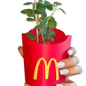 Best Seller McDonald’s Fries Planter Gift even larger than before !