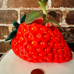 Strawberry planter gift